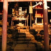 Japan - Nara - a pathway in Kasuga Grand Shrine