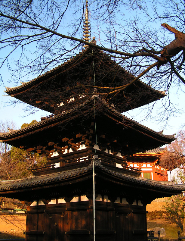 Japan - Nara - Kofukuji complex 03