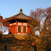 Japan - Nara - Kofukuji complex 04