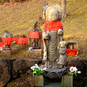 Japan - Nara - Kofukuji complex 05