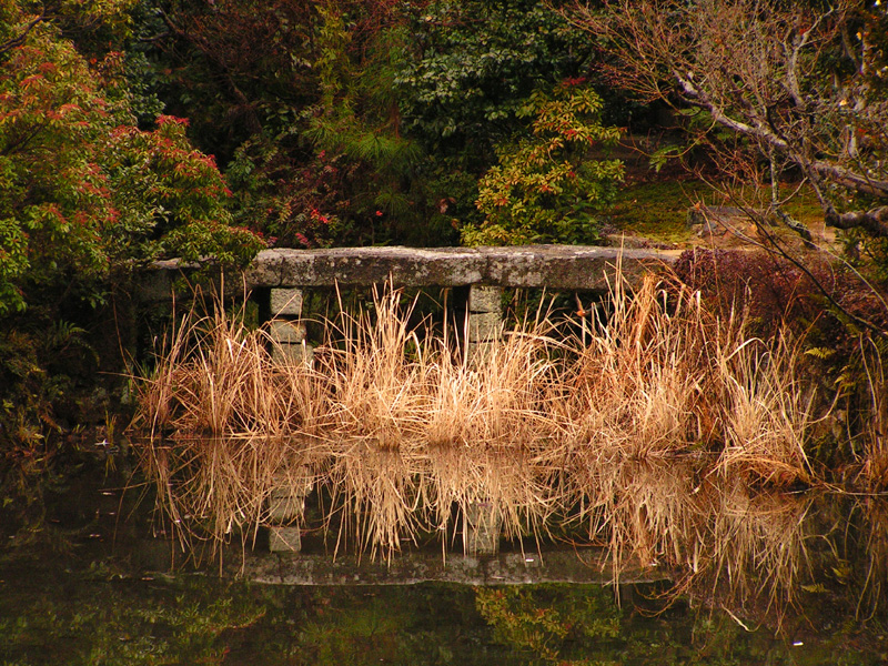 Japan - Kyoto - a lake around Kinkakuji Temple