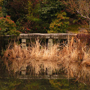 Japan - Kyoto - a lake around Kinkakuji Temple