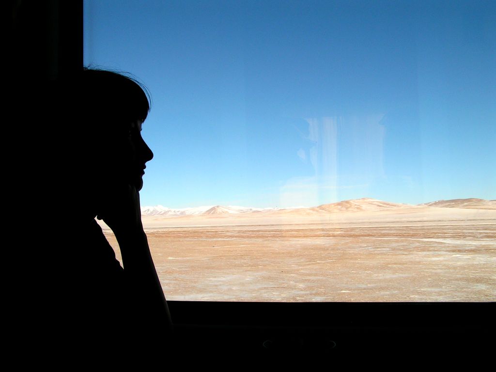 In the train to Lhasa (Tibet)