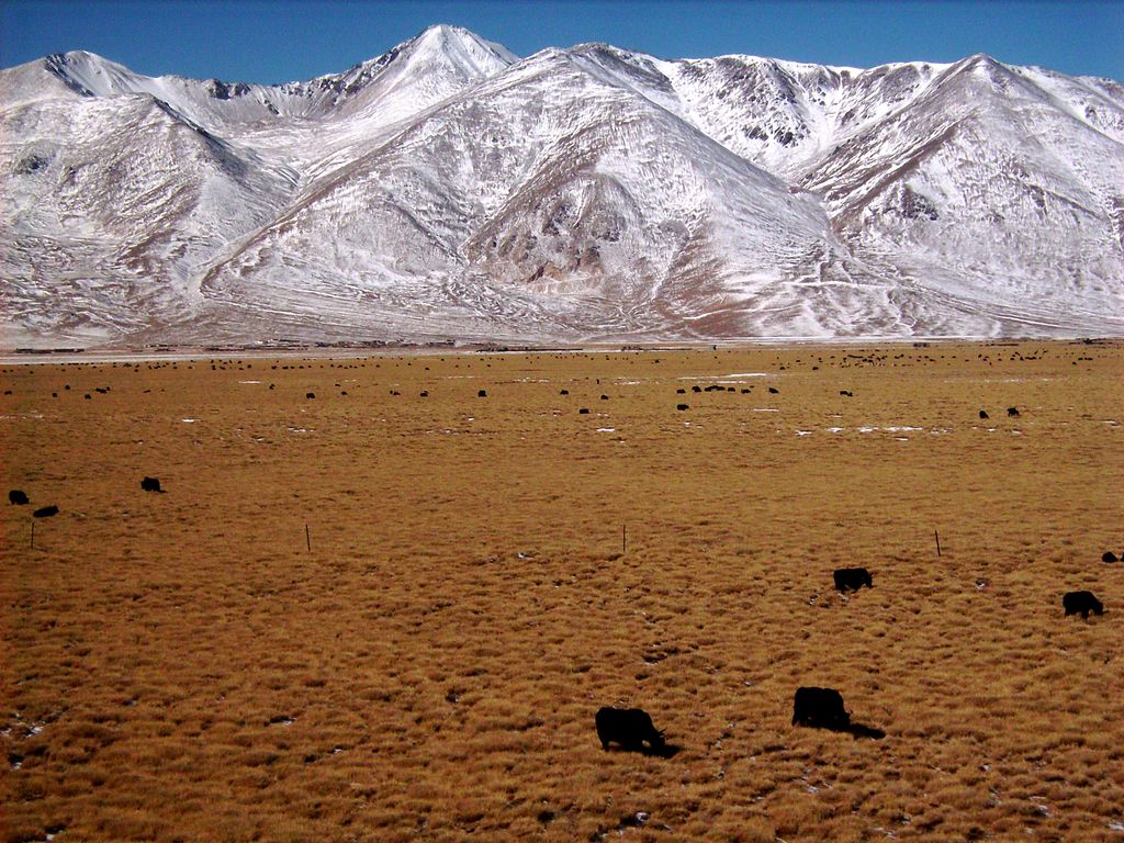 Tibet countryside 08