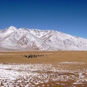 Tibet countryside 09