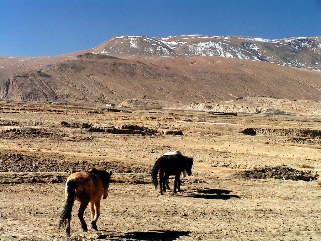 Tibet plateau 21