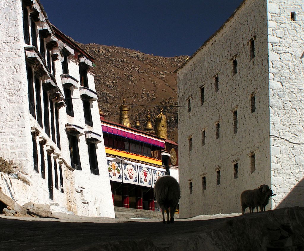 Tibet - Drepung monastery 18