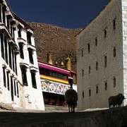 Tibet - Drepung monastery 18