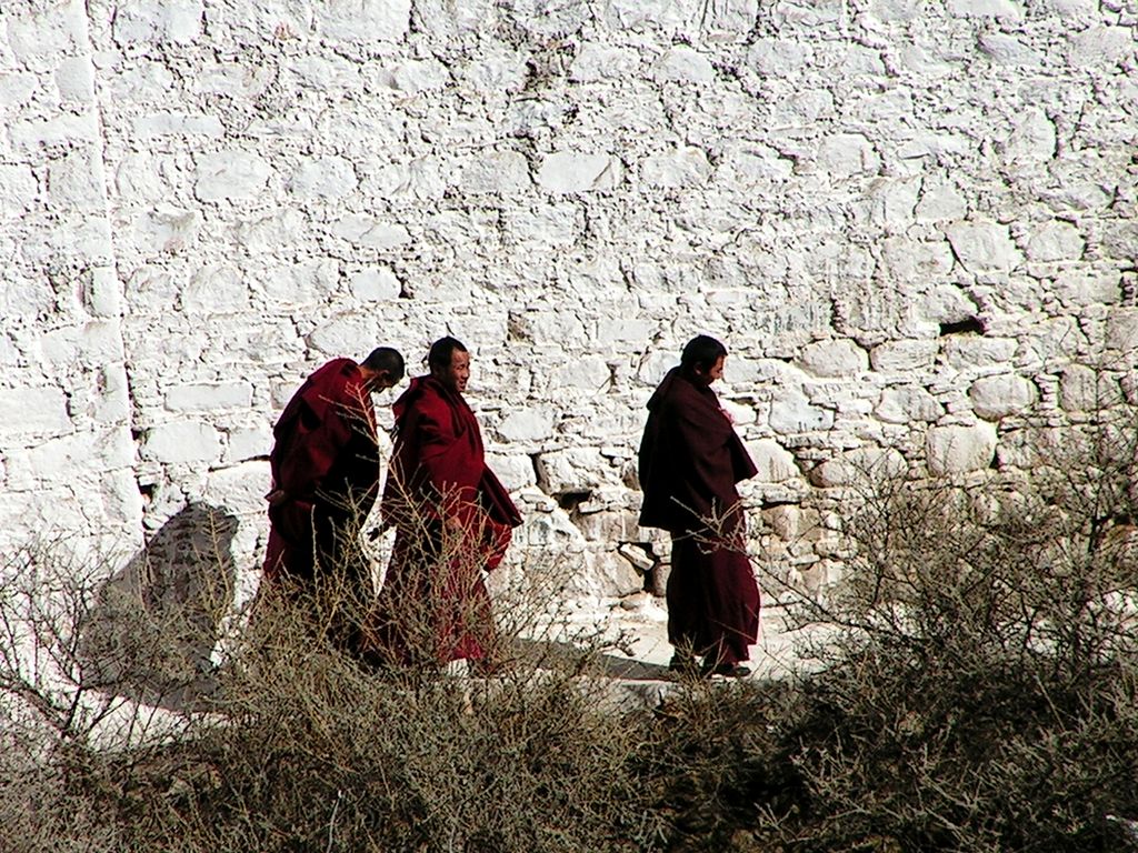 Tibet - Drepung monastery 19