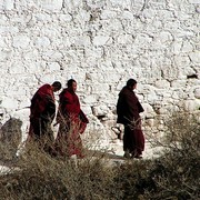 Tibet - Drepung monastery 19