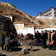 Tibet - Ganden monastery 38