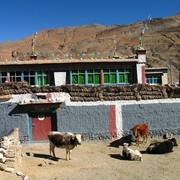 Tibet - Sakya 05