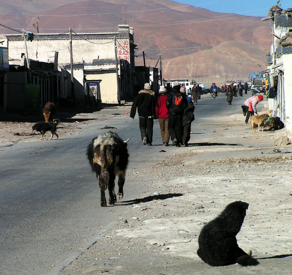 Tibet - Tingri 16
