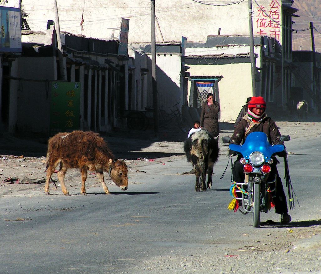 Tibet - Tingri 19