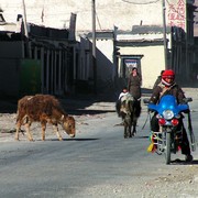 Tibet - Tingri 19