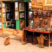 Holy monkeys of Monkey Temple