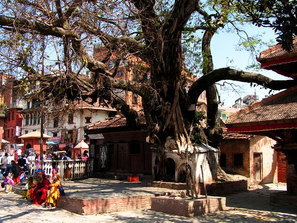 Nepal - Kathmandu 02