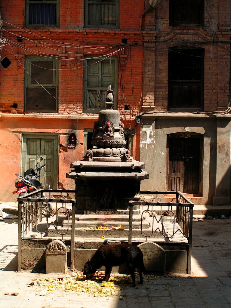Nepal - Kathmandu 10