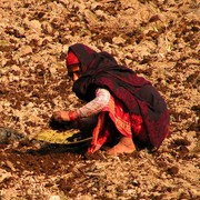 Nepal - a trek to Bahaun Danda 04