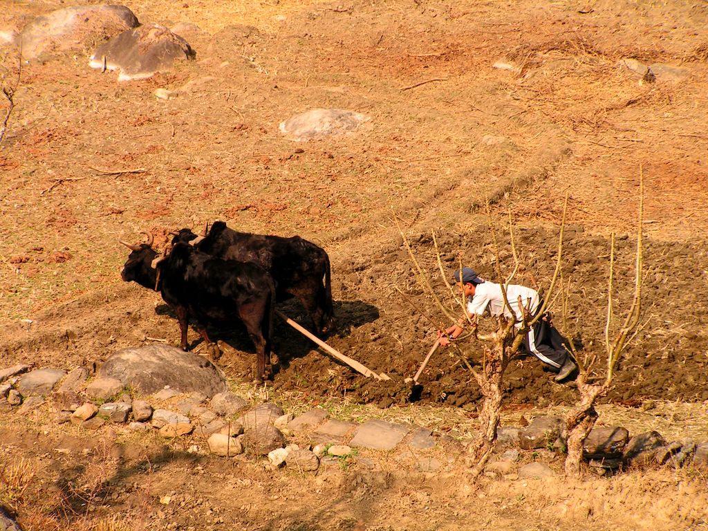 Nepal - a trek to Bahaun Danda 07