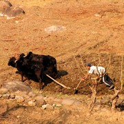 Nepal - a trek to Bahaun Danda 07