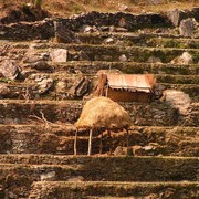 Nepal - a trek to Bahaun Danda 18