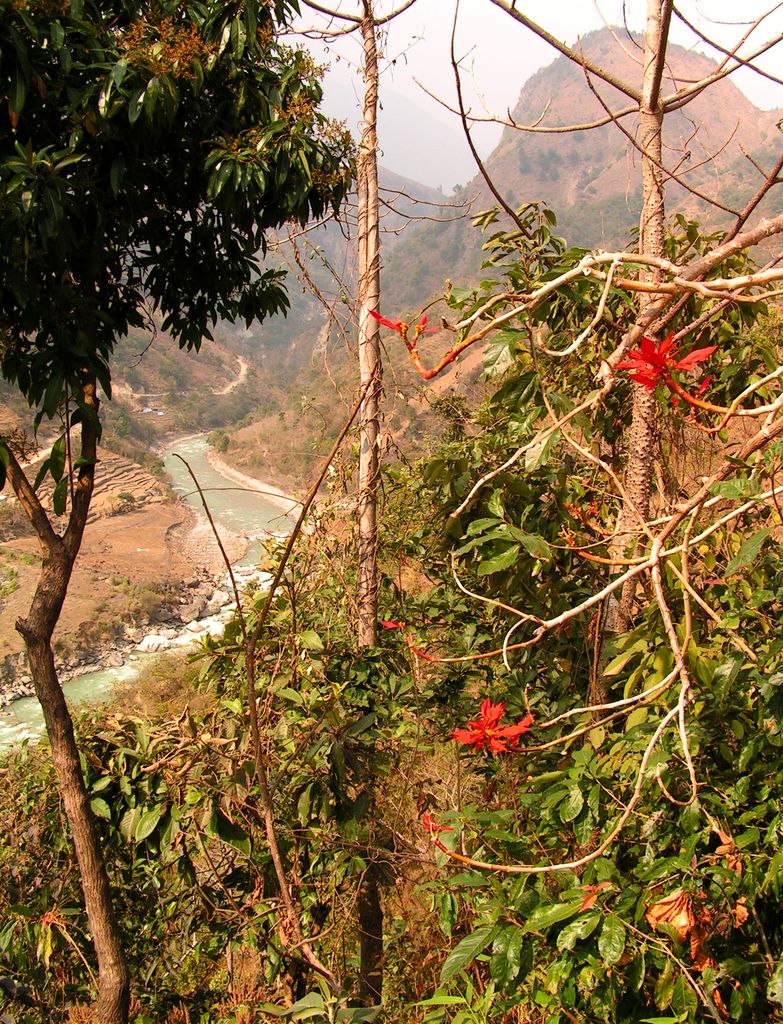 Nepal - a trek to Bahaun Danda 19