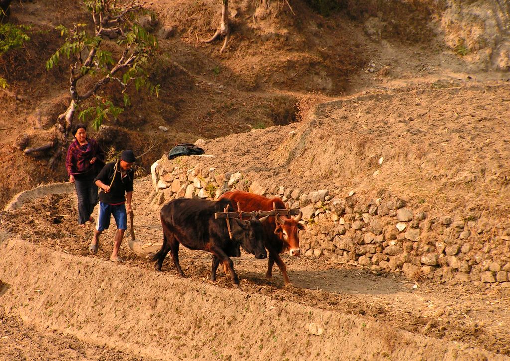 Nepal - a trek to Bahaun Danda 25