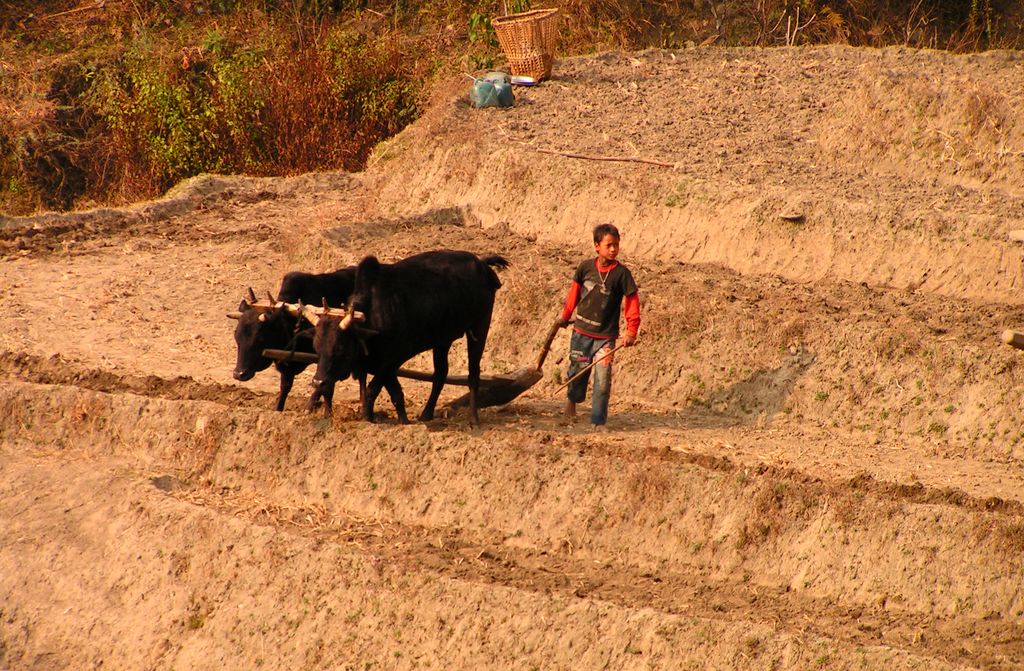 Nepal - a trek to Bahaun Danda 26