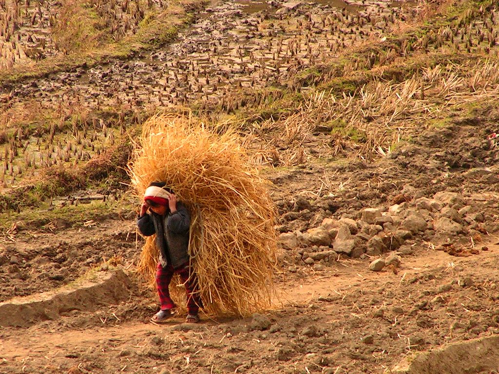 Nepal - a trek to Bahaun Danda 29