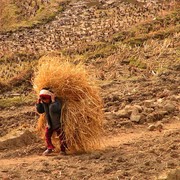 Nepal - a trek to Bahaun Danda 29