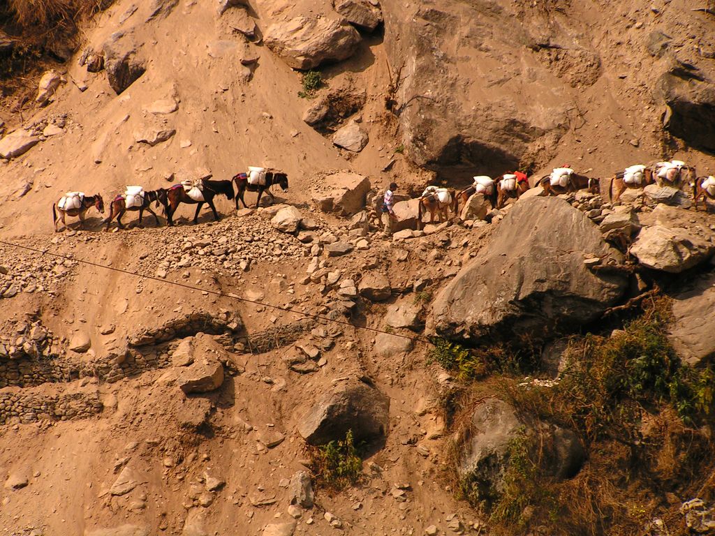 Nepal - trek to Chamje 06