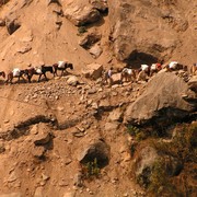 Nepal - trek to Chamje 06