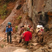 Nepal - trek to Chamje 10