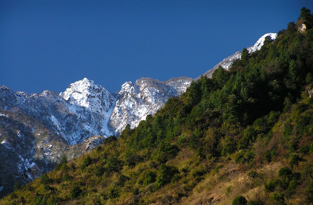 Nepal - trek to Bagarchhap 02