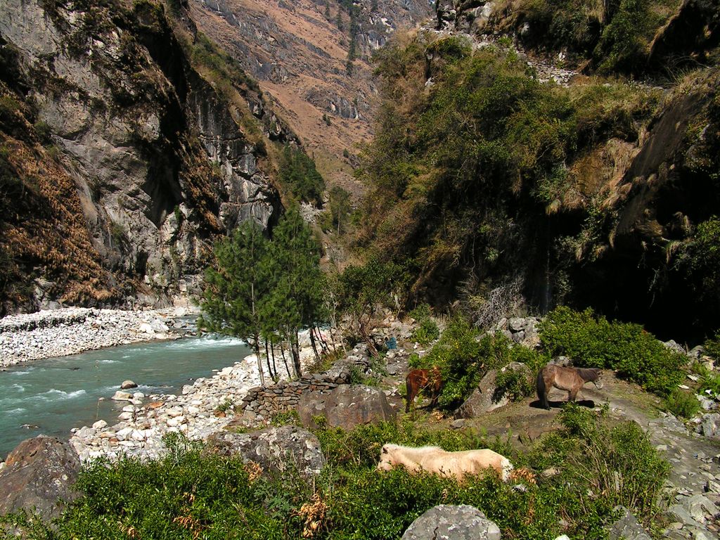 Nepal - trek to Bagarchhap 05