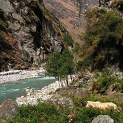 Nepal - trek to Bagarchhap 05