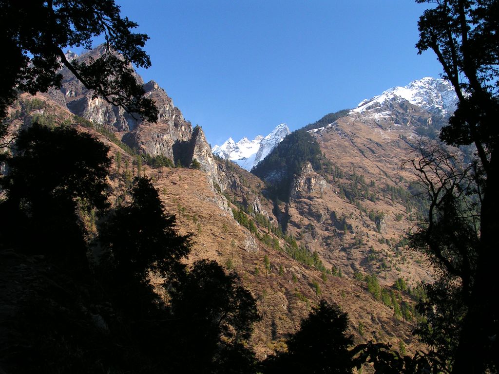 Nepal - trek to Bagarchhap 12