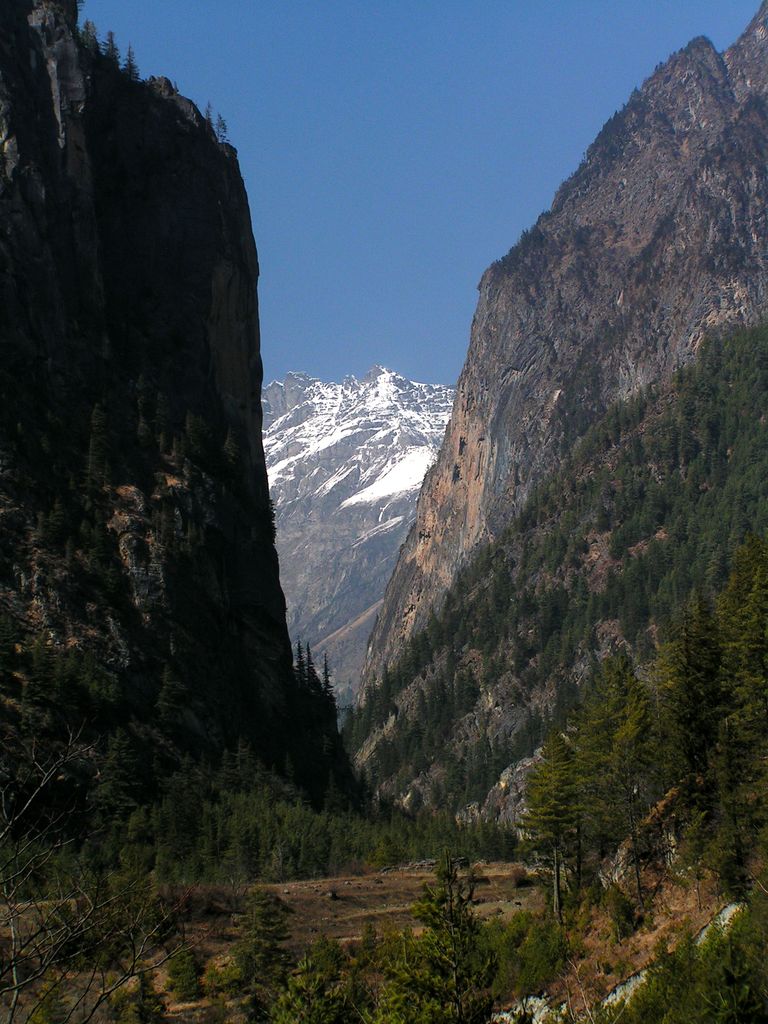 Nepal - trek to Bagarchhap 18