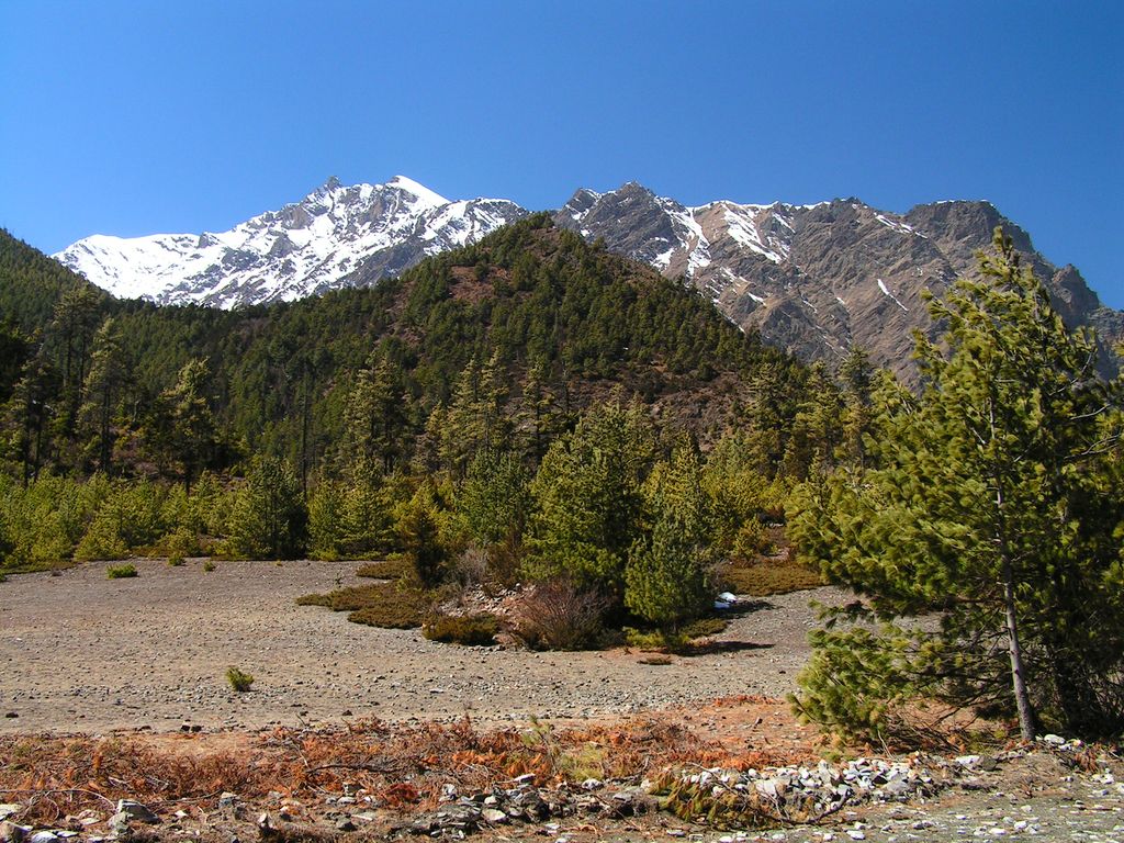 Nepal - trek to Chame 10