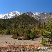 Nepal - trek to Chame 10