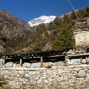 Nepal - trek to Pisang 02