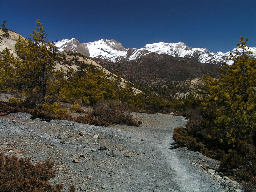 Nepal - trek to Manang 16