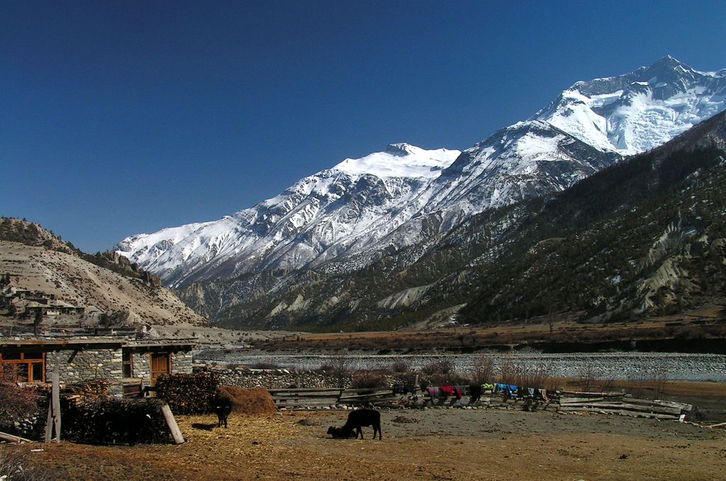 Nepal - trek to Manang 26