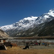 Nepal - trek to Manang 26