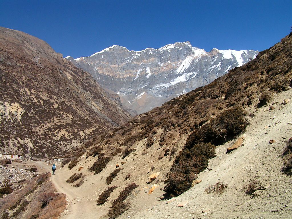 Nepal - Chulu West peak