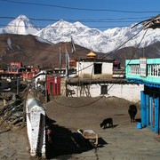 Nepal - Muktinath 02