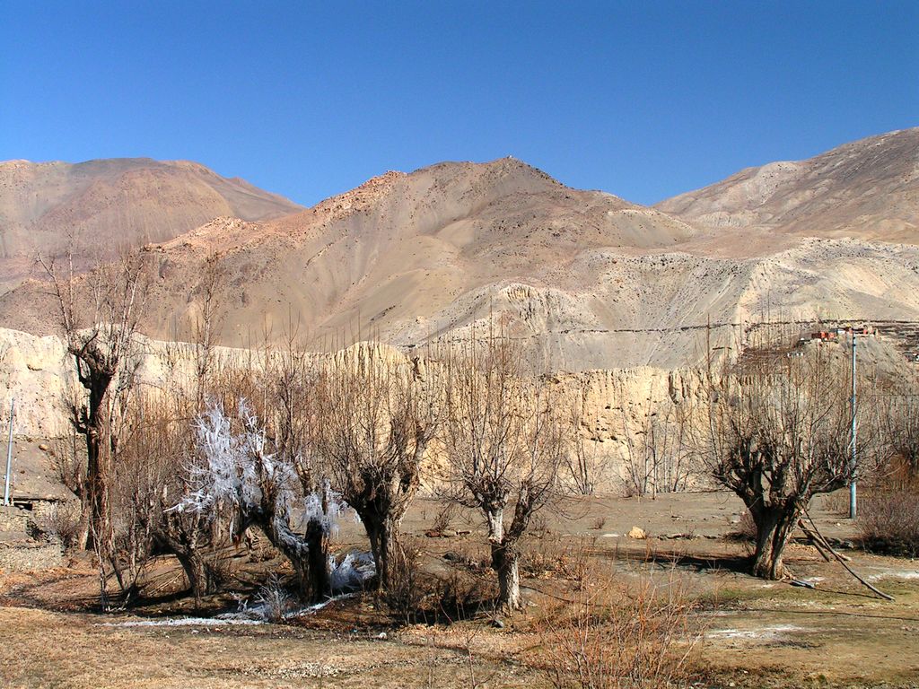 Nepal - trek to Marpha 09