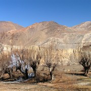 Nepal - trek to Marpha 09