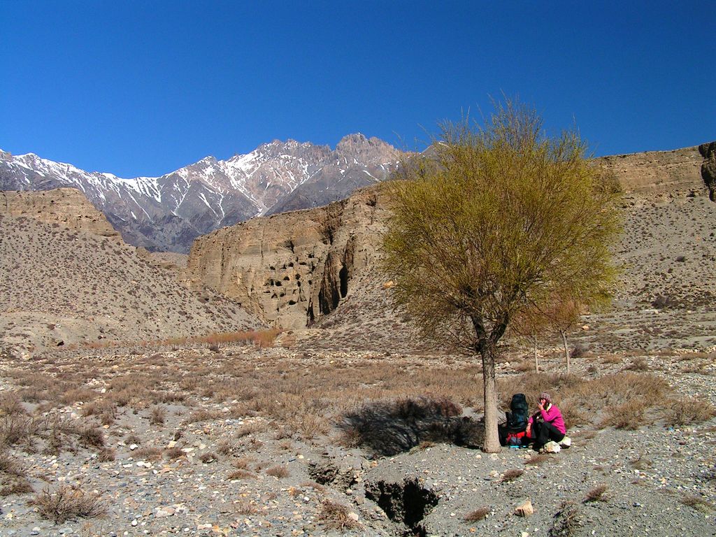 Nepal - trek to Jomson and Marpha